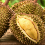 Kelezatan Wisata Kuliner di Medan yang Wajib Dicoba