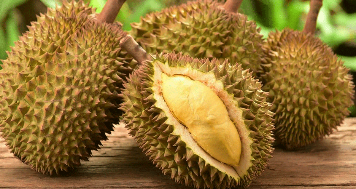 Kelezatan Wisata Kuliner di Medan yang Wajib Dicoba