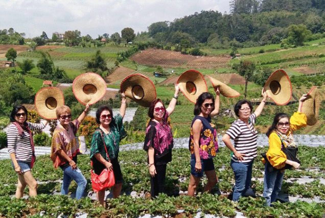 tour danau toba 1 hari berastagi